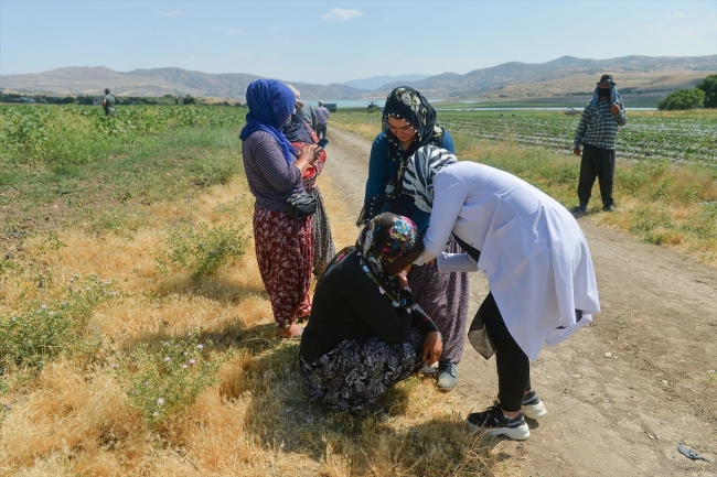 Mevsimlik işçiler aşıya gidemedi, sağlık ekipleri tarlaya indi